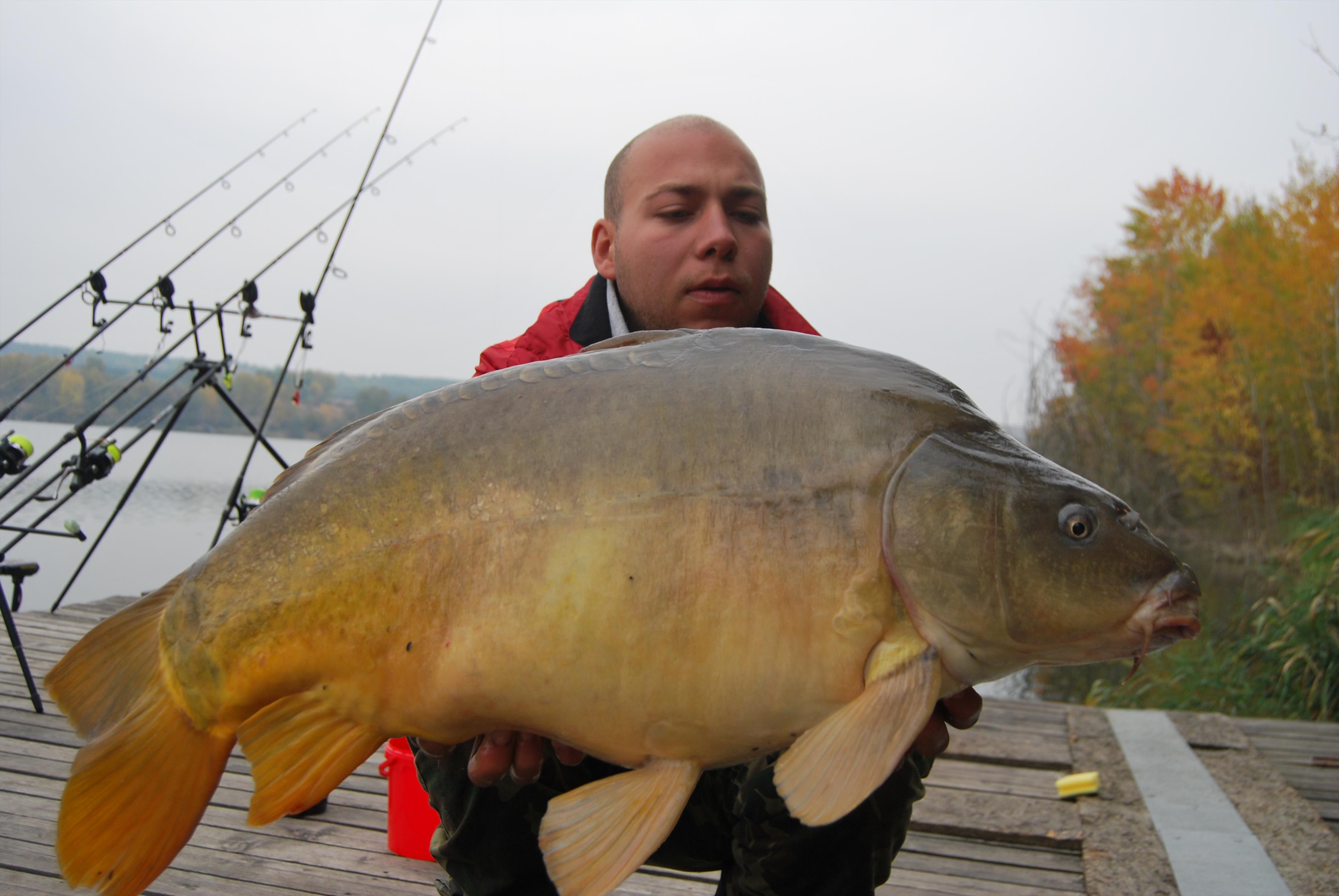 Ecsed - DSC_0393.JPG